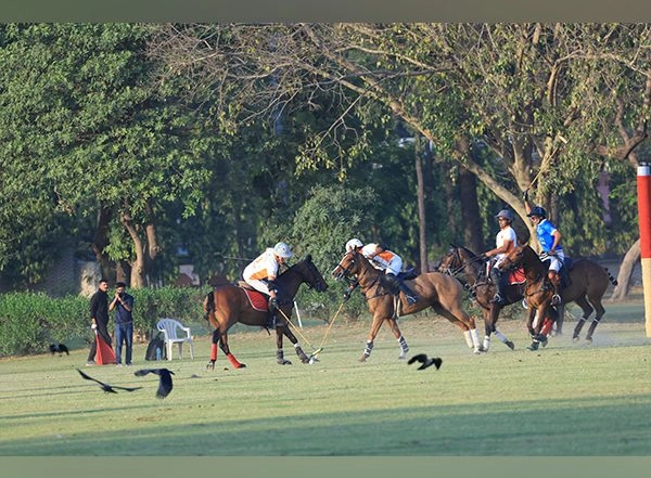 Business News | Dynamix Achievers Defeat Jindal-Carysil to Win 8th Straight Indian Open Polo Championship