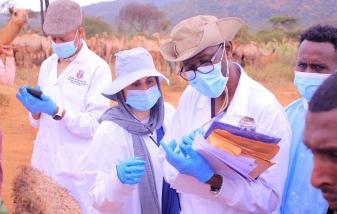 World News | WOAH Centre for Camel Diseases Detects Likely Cause of Ethiopia Camel Deaths