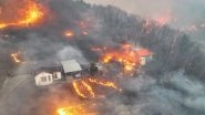 World News | South Korea: Death Toll Rises to 18 as Wildfires Spread in Southeastern Region of Country