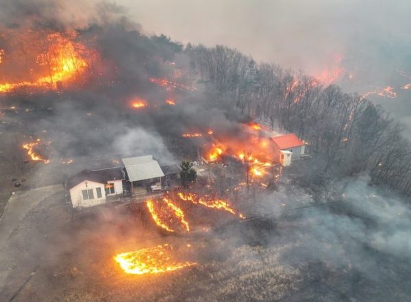 World News | South Korea: Death Toll Rises to 18 as Wildfires Spread in Southeastern Region of Country