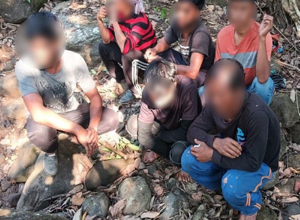 India News | BSF Meghalaya Foils Cattle Smuggling Attempt, Apprehends 5  Near Bangladesh Border