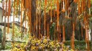 Business News | Why More Couples Are Choosing India for Their Destination Wedding in 2025