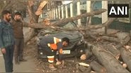 India News | J-K: Several Trees Uprooted Across Srinagar Due to Strong Winds, Cleanup Operations Underway