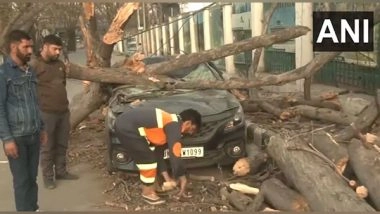 India News | J-K: Several Trees Uprooted Across Srinagar Due to Strong Winds, Cleanup Operations Underway