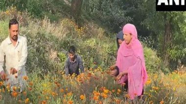 India News | J-K: Local Farmer in Katra Turns Flower Farming into Business Venture, Earns Rs 10 Lakh Annually
