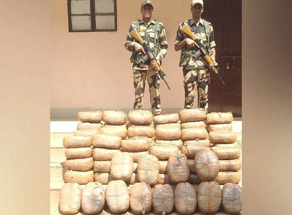 India News | BSF Foils Drug Smuggling Attempt, Nab One Smuggler