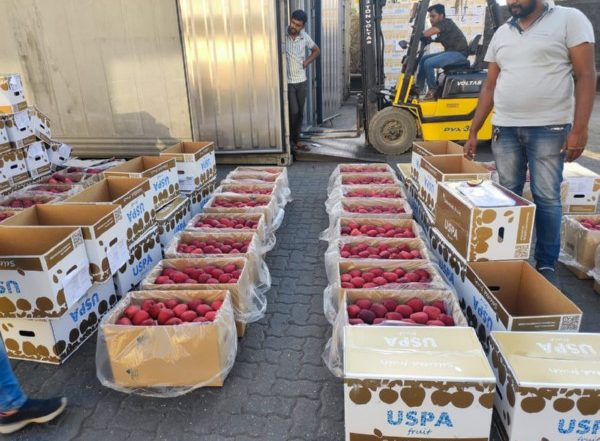 World News | Ukrainian Apples in India Signify 'strong Bilateral Trade Ties'