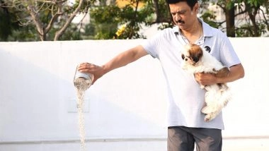 India News | Tamil Nadu CM MK Stalin Urges People to Provide Water, Food to Birds Amid Summer Heat