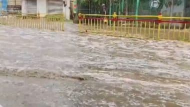 Bengaluru Rains: 3-Year-Old Girl Dies After Tree Falls on Her Amid Heavy Rainfall in Karnataka (Watch Videos)