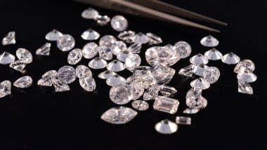 Man Booked for Fleeing With Diamonds Worth INR 48 Lakh From Bharat Diamond Bourse