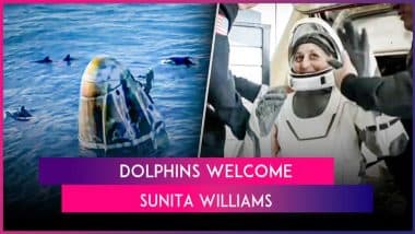 Sunita Williams Returns: Dolphins Welcome Indian-Origin NASA Astronaut After She Lands on Earth, Video Goes Viral