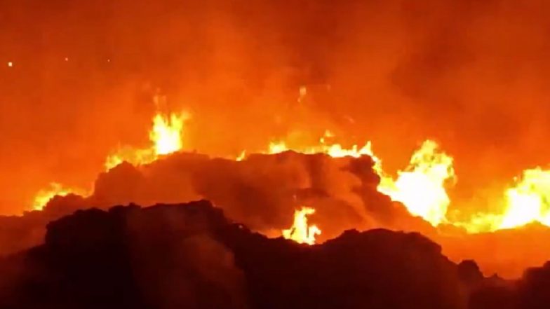 Valsad Fire: Massive Blaze Destroys Over 15 Scrap Warehouses in Gujarat’s Vapi Area (Watch Video)