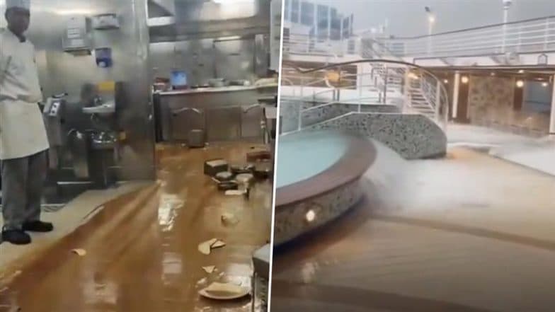 Crown Princess Cruise Ship Tilts Sideways in Rough Waters Near New Zealand, 16 Injured; Dramatic Video Surfaces