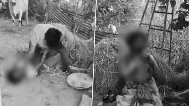 Karimnagar Shocker: Man Attacks, Attempts To Murder Mother of Woman He Loved for Fixing Her Marriage in Telangana; Video Surfaces