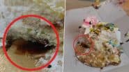 Cockroach in Cake: Man Orders Cake From ‘Cakey’ Shop in Ghaziabad, Finds Dead Cockroach Inside; Video Surfaces