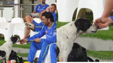 MS Dhoni Spotted Feeding Stray Dogs at MA Chidambaram Stadium, Chennai Super Kings Shares Thala's Heartwarming Gesture on Social Handle (Watch Video)