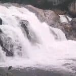 Tamil Nadu: Authorities Impose Ban on Bathing for Tourists As Heavy Rains Trigger Flash Floods at Manimutharu Water Falls (Watch Video)