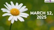 March 12, 2025 Special Days: Which Day Is Today? Know Holidays, Festivals, Events, Birthdays, Birth and Death Anniversaries Falling on Today's Calendar Date