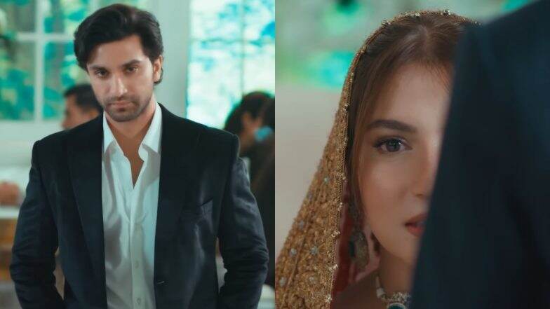 'Meem Se Mohabbat' Ep 28 Full Video: Ahad Raza Mir's Talha Wins Everyone's Heart in Latest Episode