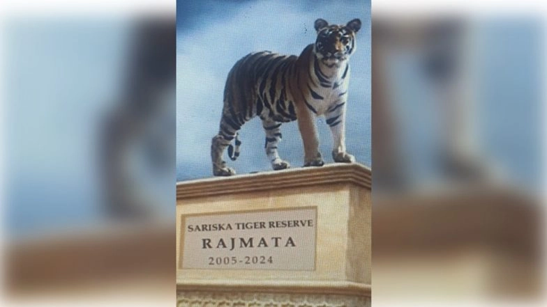 &lsquo;Rajmata&rsquo; Will Be First Tigress of Rajasthan To Be Honoured With Installation of Statue at Sariska