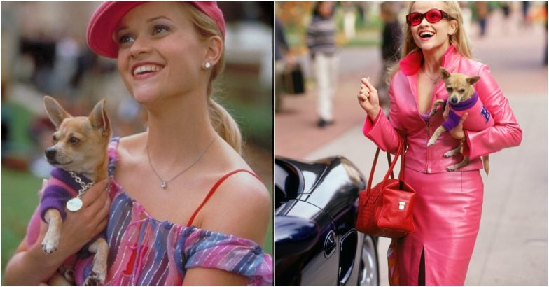 Reese Witherspoon Birthday Special: Iconic Fashion Looks From ‘Legally Blonde’  