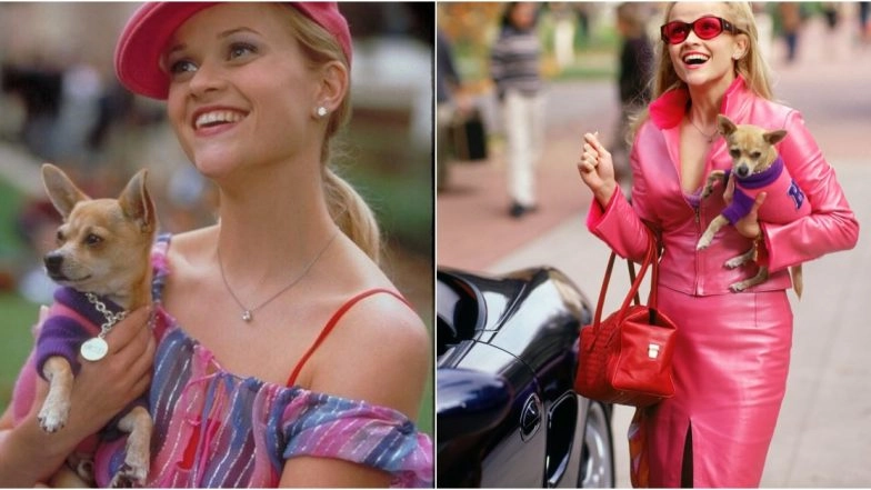 Happy Birthday, Reese Witherspoon: Reliving the Iconic Fashion Moments From the Actress&rsquo; &lsquo;Legally Blonde&rsquo; Era That Redefined Hollywood Style (View Pictures)