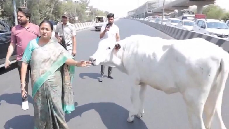 Delhi CM Rekha Gupta&rsquo;s Convoy Comes to Sudden Halt at Haidarpur Flyover for 15 Minutes Due to Stray Cattle (Watch Video)