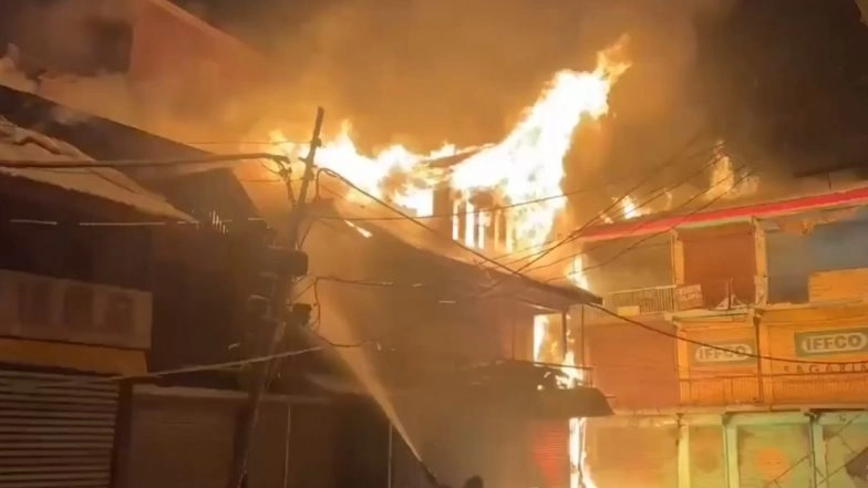 Shopian Fire: Massive Blaze Erupts at Tak Mohalla in Jammu and Kashmir, Dozens of Houses, Shops and Complexes Destroyed (Watch Video)