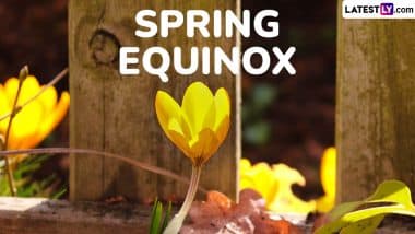 Vernal Equinox 2025: Know Significance of the First Day of Spring Season in Northern Hemisphere