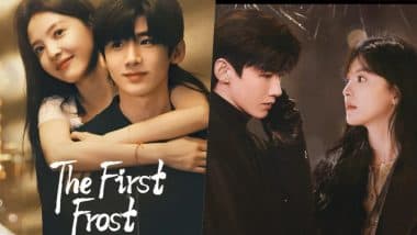 Is First Frost Related to Hidden Love? Know About Chinese Drama Streaming on Netflix