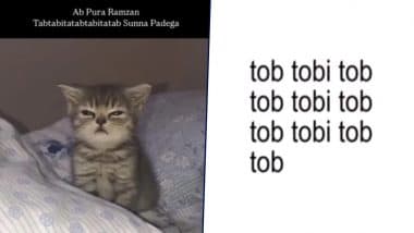 ‘Tob Tobi Tob’ Viral Song Download: Internet Is Obsessed With the Tongue Twister Lyrics of ‘Tob Tobi Tob Tob Tobi Tob’ As Funny Memes and Jokes Flood Social Media Timelines