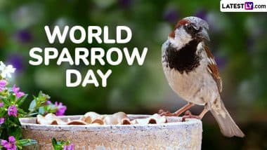 When Is World Sparrow Day 2025? Know Date, Theme, History and Significance of the Day That Highlights the Need for Conservation of House Sparrows