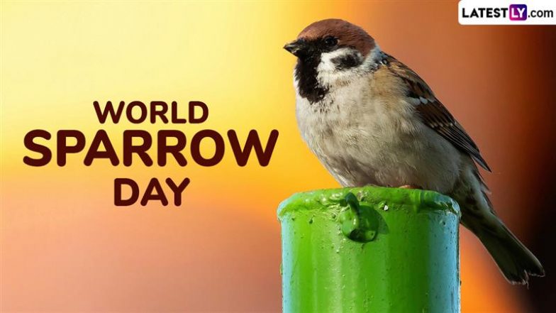World Sparrow Day 2025 Date and Theme: Know Significance of the Day That Aims To Promote the Conservation of Sparrows