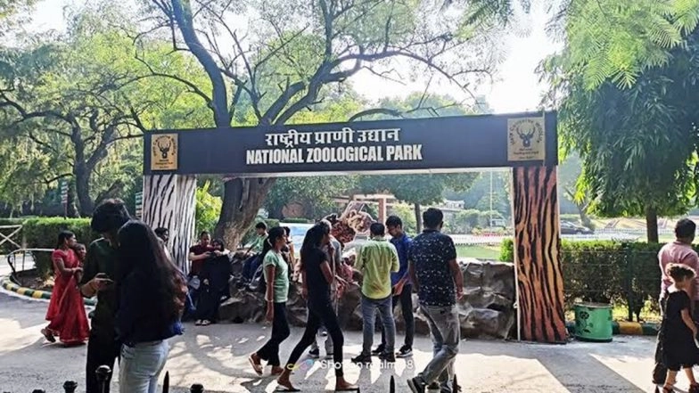 Summer Action Plan: Animals at Delhi Zoo To Get Fruit Ice Cubes, Water Sprinklers To Beat the Heat