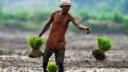 PM Kisan Samman Nidhi Yojana June 2025 Kist Date: When Will Farmers Receive 20th Instalment of Pradhan Mantri Kisan Samman Nidhi Yojana Scheme? Know Steps To Check Beneficiary Status