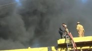 Noida Fire: Massive Blaze Erupts in Factory in Surajpur, Firefighters Attempt To Control (Watch Video)