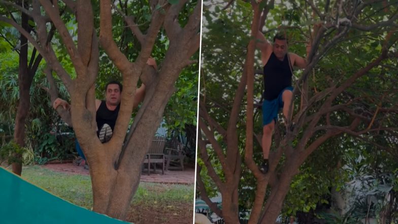 ‘Berry Good for U’: Salman Khan Climbs Trees at 59! ‘Sikandar’ Actor Shows Off Fitness Level, Inspires Fans (Watch Video)