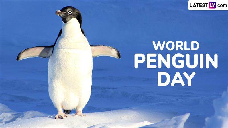 Famous Penguins From Pop Culture To Know on World Penguin Day 2025