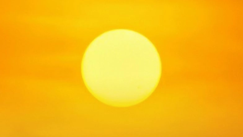 Gujarat Braces for Extreme Summer, Prepares Action Plan for High-Risk Cities