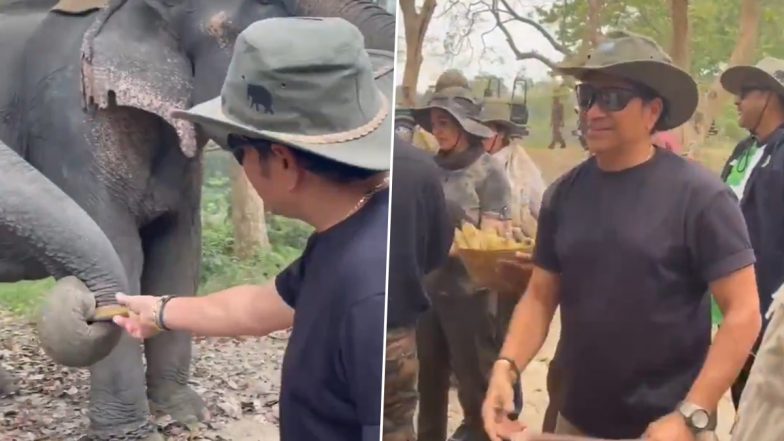 ‘Master Blaster’ Sachin Tendulkar Enjoys His Time at Kaziranga National Park; Feeds Elephants, Enjoys Jeep Safari (Watch Video)