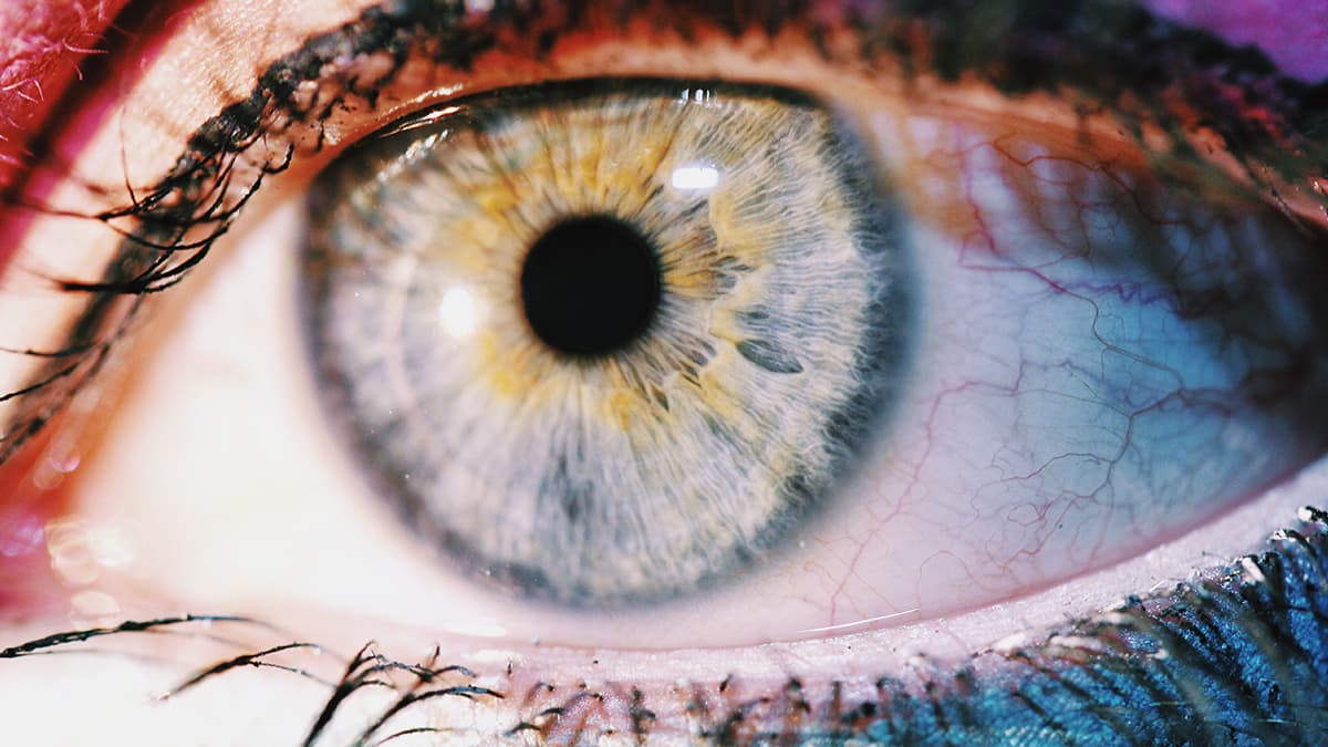 ‘Olo’ Colour Discovered: Scientists Use Laser Tech to Unlock Never-Before-Seen Hue 