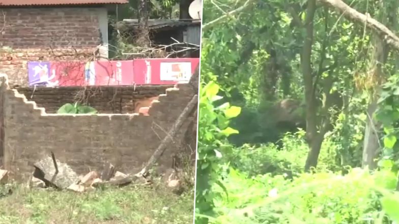 Man Versus Wild in West Bengal: Elephant Sneaks Into Siliguri’s North Bengal University Campus in Darjeeling, Damages Reported (Watch Video)