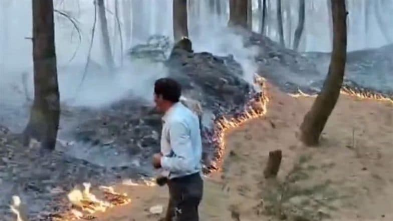 Jammu and Kashmir Forest Fire: Intense Blaze Spreads Across Steep Terrain in Baramulla슬롯사이트s Shutloo, Firefighting Efforts Underway (Watch Video)