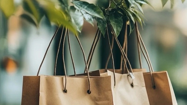 Does Sustainability Truly Resonate With Consumers?