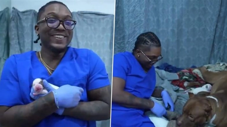 How Adorable! YourRAGE Helps Pet Dog Gaia To Deliver 12 Healthy Puppies Live on Stream, Bringing Fans Along For the Heartwarming Journey (Watch Video)