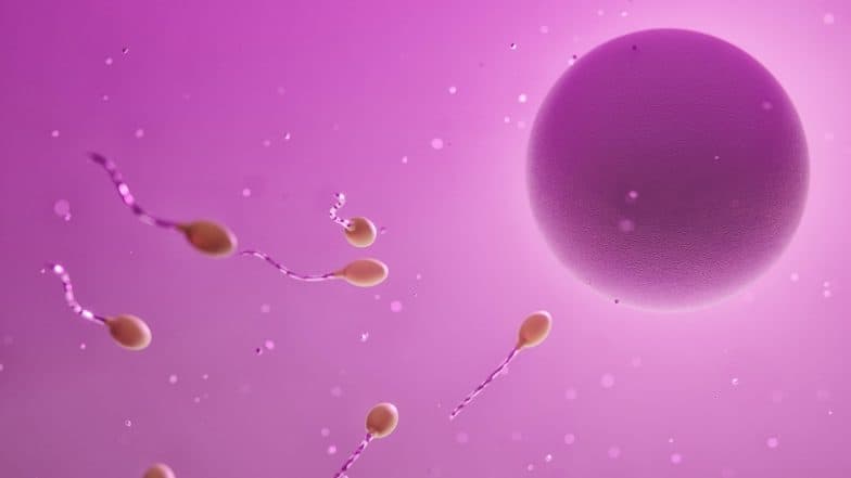 Tristan Mykel, USC Student Wins World’s First Sperm Race in Los Angeles, Beating Competitor Asher Proeger in Ultimate Showdown (Watch Video)