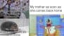 Mother's Day 2025 Funny Memes: Best Mom Jokes and Viral Instagram Posts That Mothers Will Find Hilariously Retable!