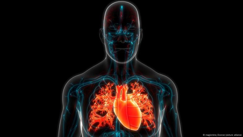 US Study Links Everyday Plastics to Heart Disease