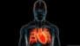 US Study Links Everyday Plastics to Heart Disease