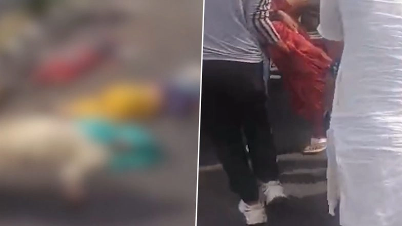 Haryana Road Accident: 6 Sanitation Workers Killed, 5 Injured As Speeding Van Rams Into Them on Delhi-Mumbai Expressway in Nuh; Disturbing Video Surfaces